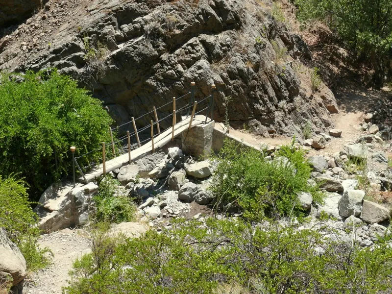 Predio del Santuario de la Naturaleza Cascada de las Ánimas con vegetación nativa
