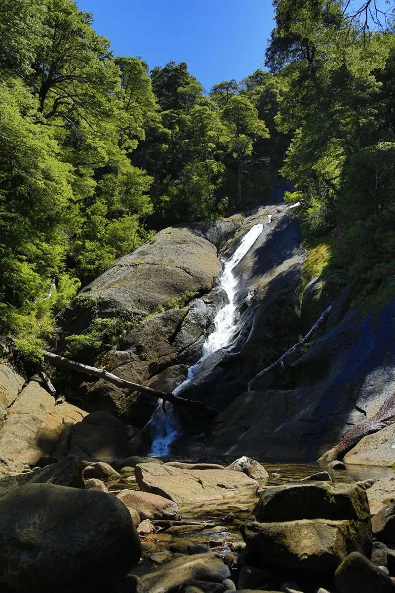 Vista de la Cascada Trufulco entre bosque de araucarias en el Parque Nacional Huerquehue