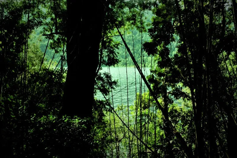 Lago Tinquilco desde el sendero del Parque Nacional Huerquehue