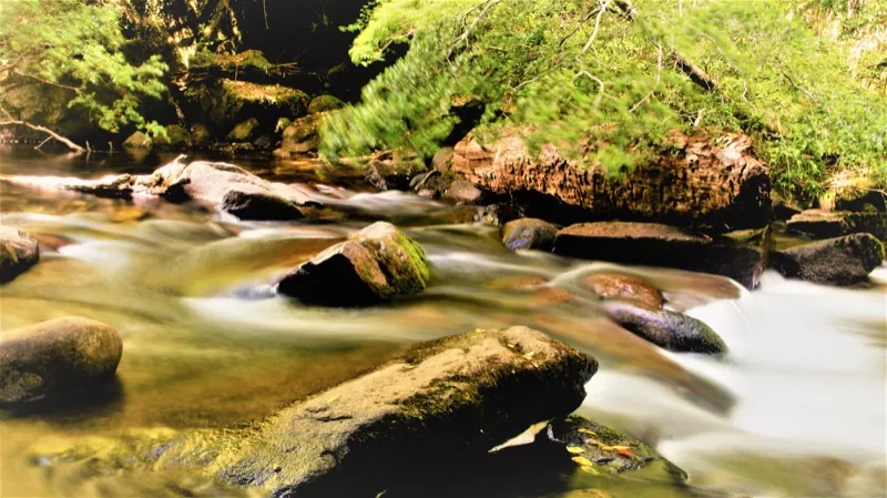 Río en el sendero del Parque Nacional Huerquehue rodeado de bosque nativo