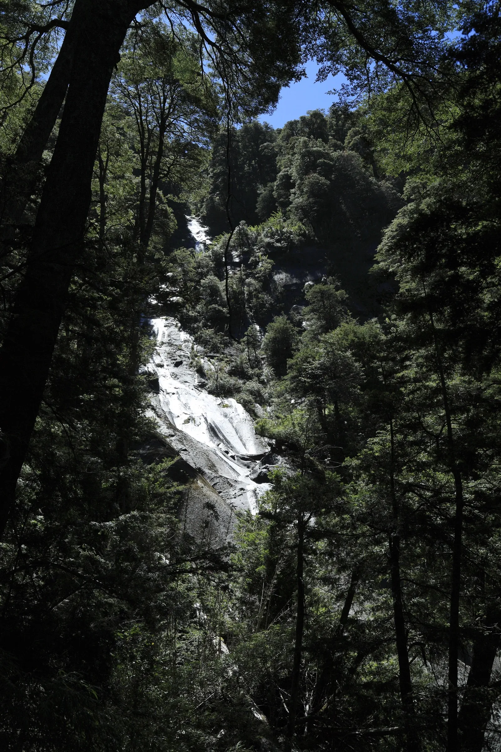 Cascada Trufulco, caída de agua de 80 metros en el Parque Nacional Huerquehue, Pucón, La Araucanía