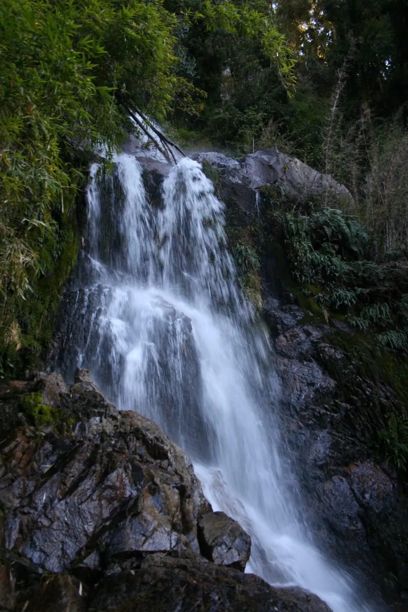 Cascada en los Andes cerca de Villa Peulla, bosque siempreverde
