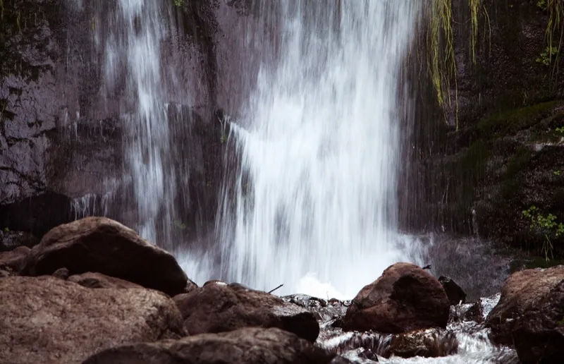 Salto de agua entre la vegetación nativa de la Reserva Nacional Río de los Cipreses