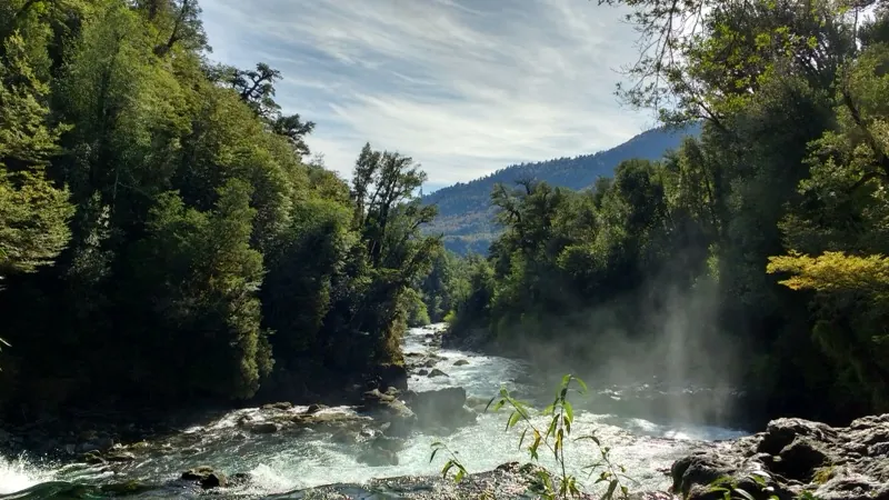 Vista superior del Salto de la Leona entre el bosque valdiviano de Huilo-Huilo