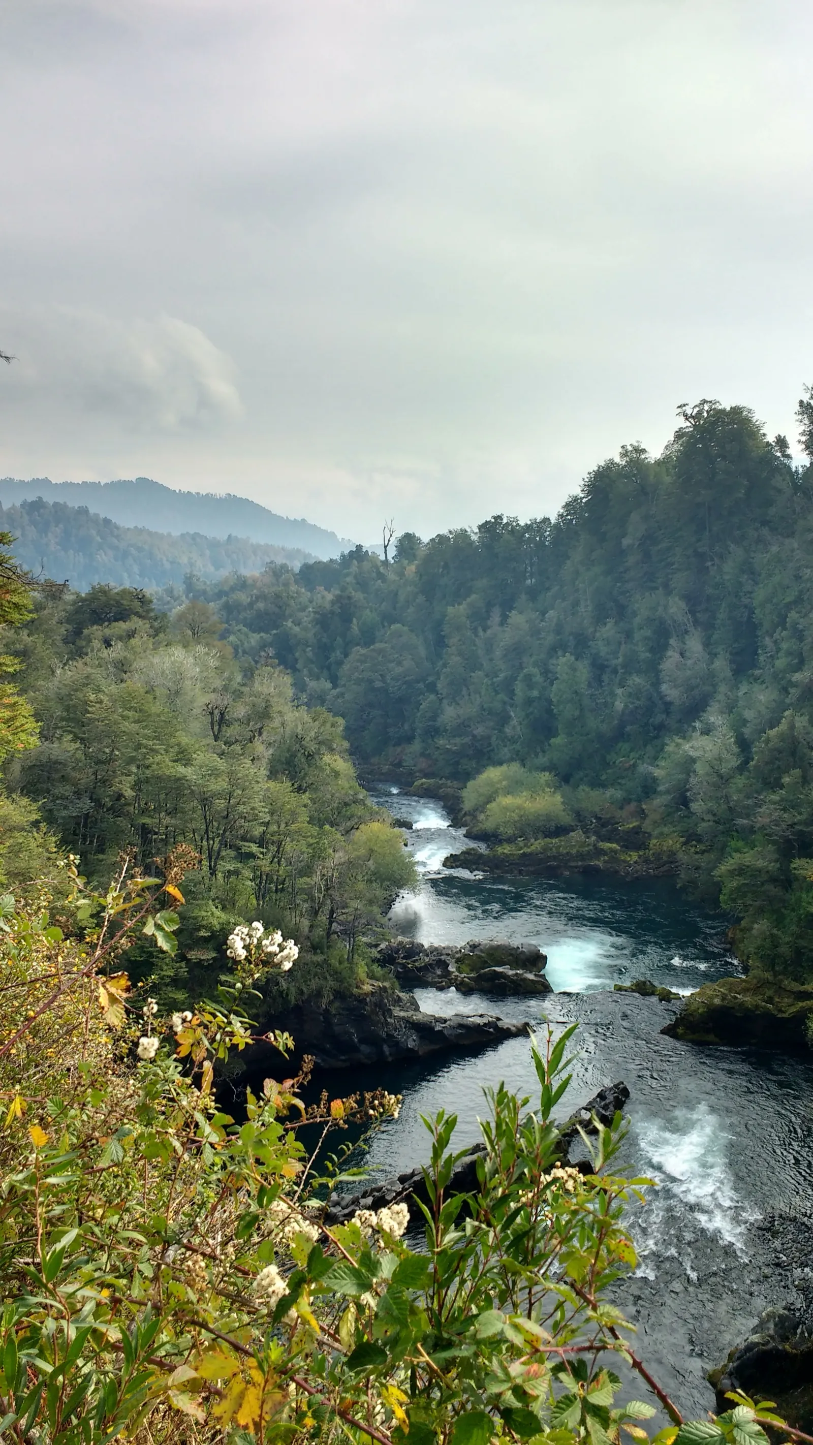 Salto del Huilo-Huilo, cascada de 37 metros encajonada entre paredes de roca volcánica cubiertas de musgo en la Reserva Biológica Huilo-Huilo