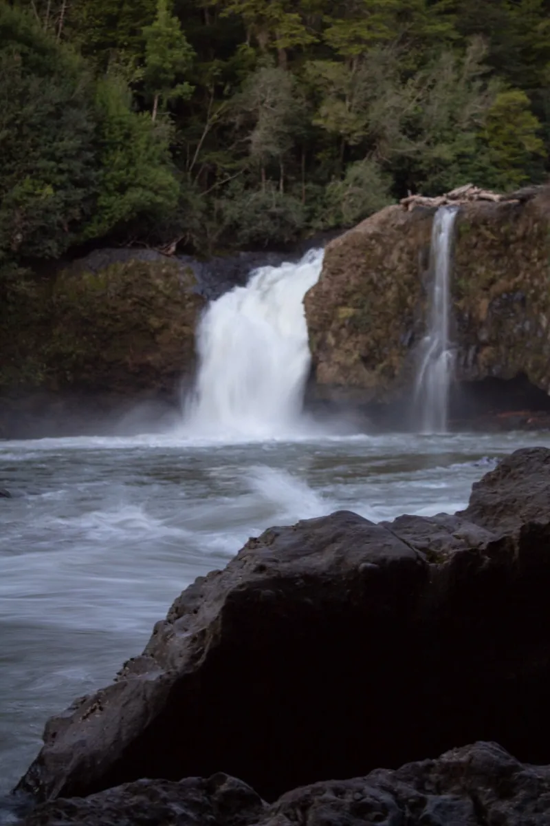 Cascada del Indio entre coihues y helechos en el circuito de los Saltos de Anticura Catrué