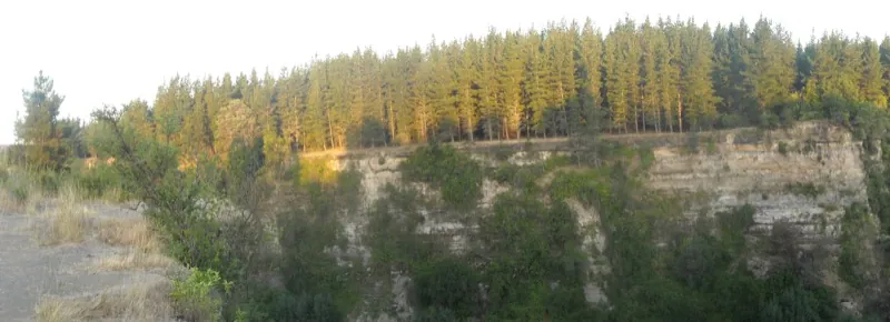 Detalle de la caída principal del Salto del Itata sobre los acantilados