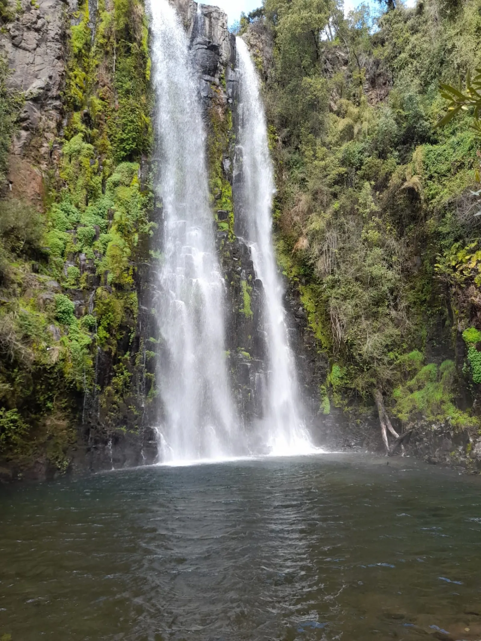 Panorámica del Salto La Placeta, cascada de 30 metros rodeada de bosque nativo en la precordillera del Maule