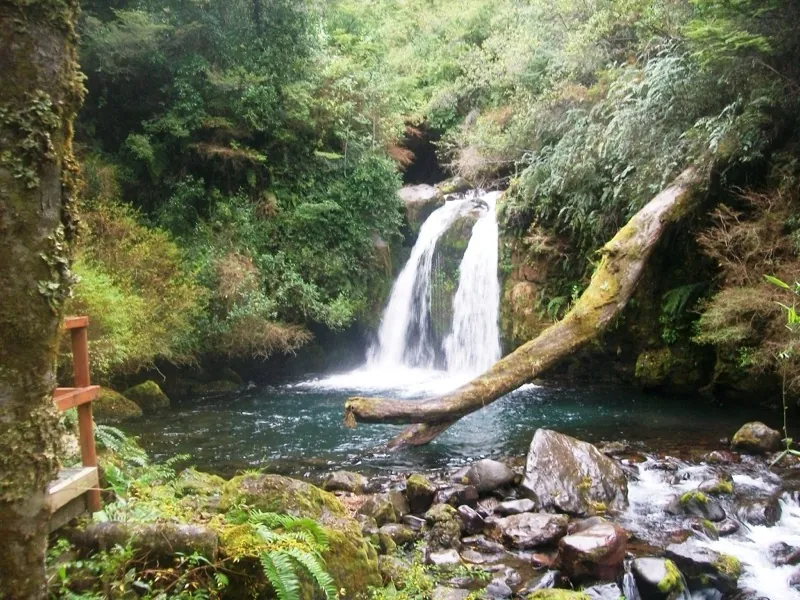 Cascada en el sector Anticura del Parque Nacional Puyehue rodeada de selva valdiviana