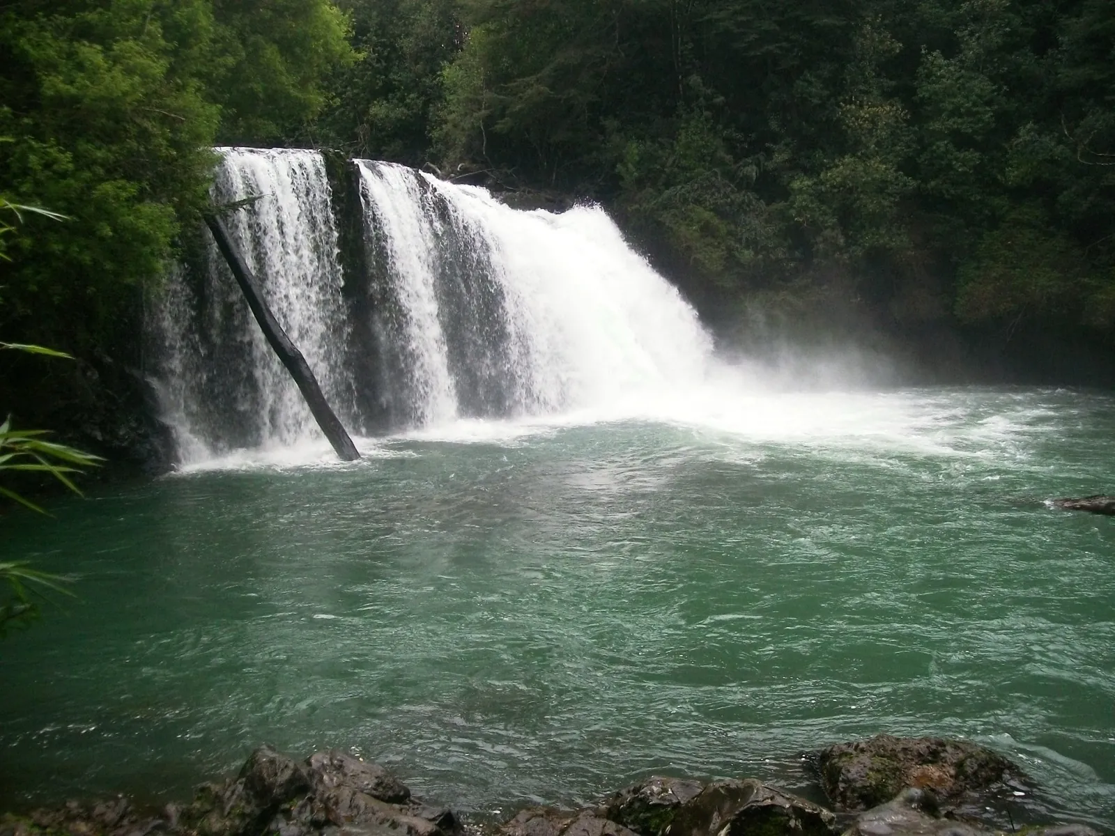 Salto La Princesa cayendo entre bosque valdiviano en el sector Anticura del Parque Nacional Puyehue