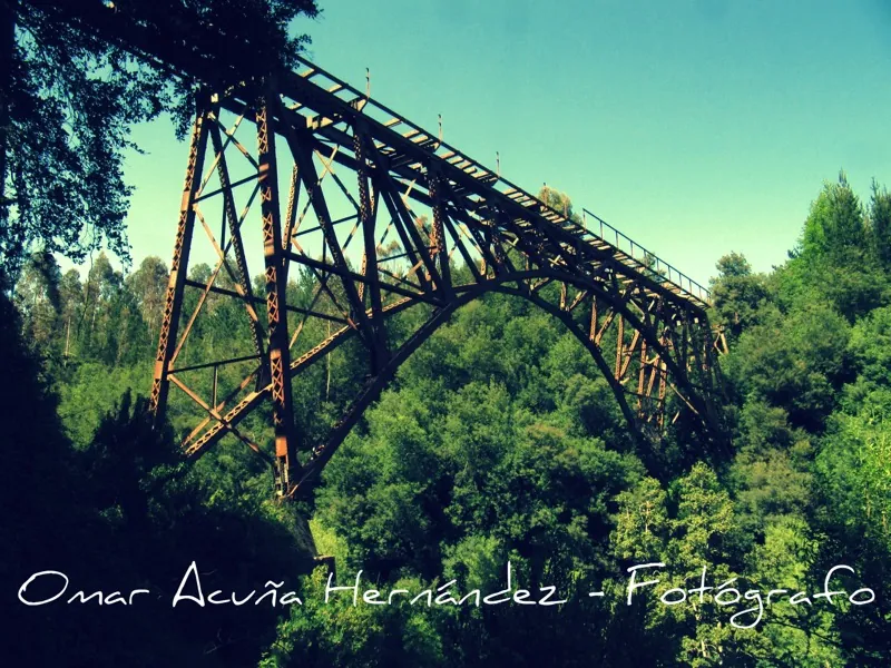 Puente ferroviario sobre la profunda quebrada del río Quino en La Araucanía