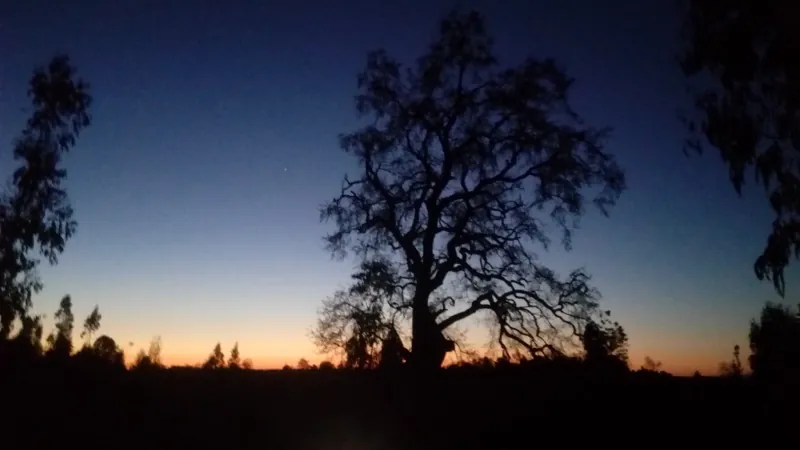 Atardecer en el río Quino, paisaje rural de La Araucanía