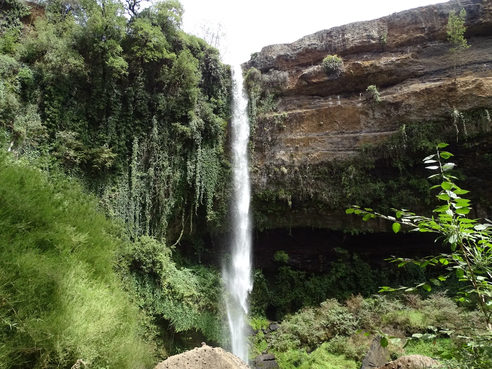 Salto Rehuén, cascada de 70 metros sobre roca volcánica en Mulchén, Región del Biobío