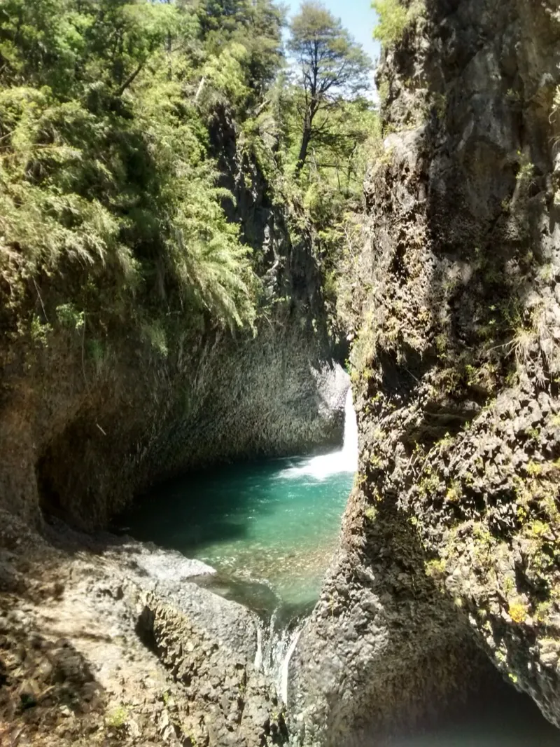 Río Claro entre bosque nativo del Parque Nacional Radal Siete Tazas, comuna de Molina
