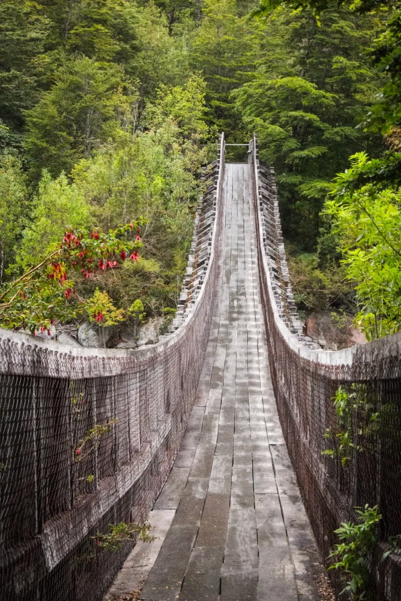 Puente colgante sobre el Río Ventisquero en el sendero hacia el glaciar